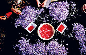 طلای سرخ
