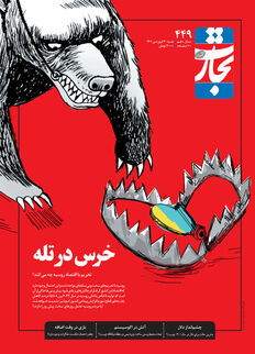 خرس در تله