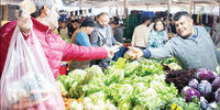 دردسرهای اردوغان