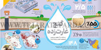 گنج غارت‌زده