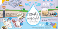 گنج غارت‌زده