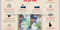 غصه هیرمند