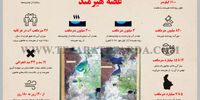 غصه هیرمند