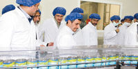 روغن مرموز