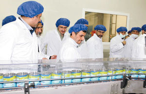 روغن مرموز