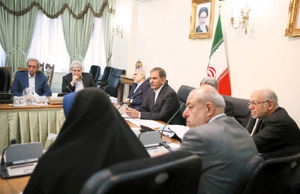 ضرب‌الاجل اقتصادی