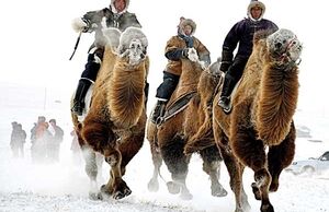 معمای فراوانی منابع