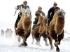 معمای فراوانی منابع