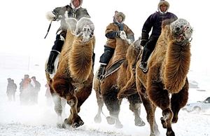 معمای فراوانی منابع