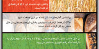 جغرافیای اقتصاد نان