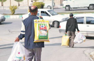 یک لقمه نان دولتی