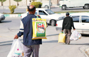 یک لقمه نان دولتی
