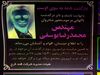 رمز‌گشایی از مرگ «سلطان شکر»