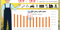 رشد ارزش افزوده تولیدی بخش کشاورزی  