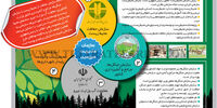 سازمان مدیریت سرزمین