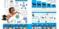 رفیق همیشگی؛ اسب