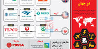 تجربه ملی‌سازی در جهان