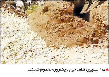 سقوط سنگین

