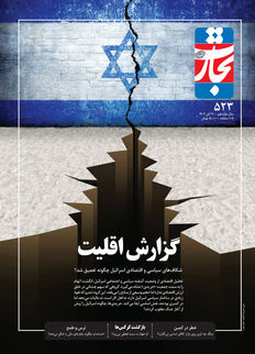 گزارش اقلیت