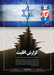 گزارش اقلیت