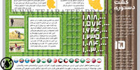 کشت دستوری