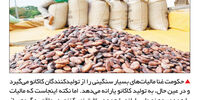 تفرقه بینداز و حکومت کن

