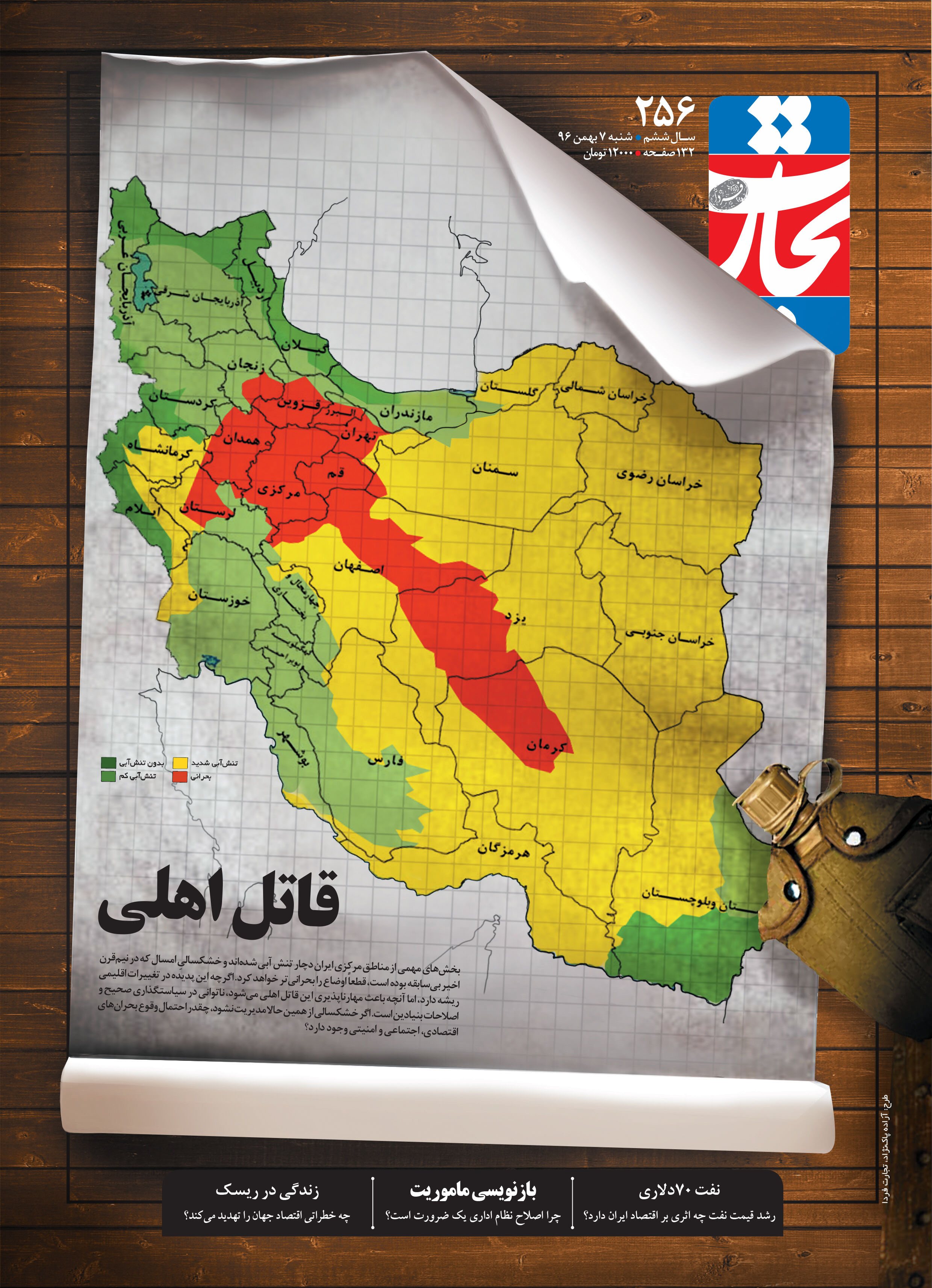 قاتل اهلی