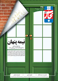 نیمه پنهان