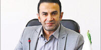 حیات هوشمند
