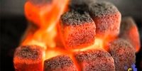 طرح توجیهی تولید بریکت یا زغال فشرده