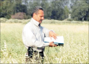 حیات‌بخش چون سیل