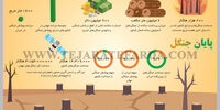پایان چنگل