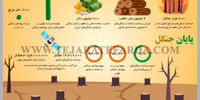 پایان چنگل