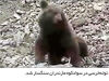 آنتن‌فروشی به پزشکان