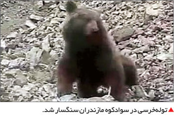 آنتن‌فروشی به پزشکان