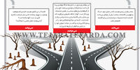 چرا درست تصمیم نمیگیرند؟
