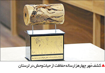 سهم زنان در سطح مدیریت دولتی 20 درصد است

