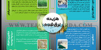 هزینه غرق شده