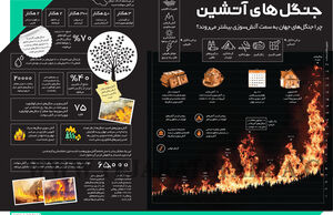 جنگل‌های آتشین