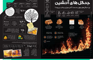 جنگل‌های آتشین