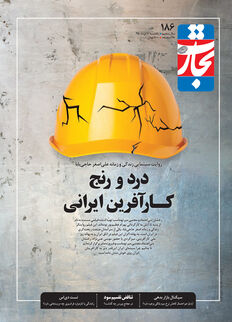 درد و رنج کارآفرین ایرانی