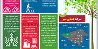سرانه فضای سبز