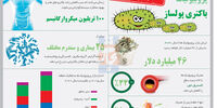 باکتری‌های پولساز