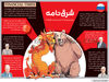 شرق نامه