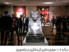 زنان پیشران نرخ رشد
