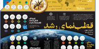 قطب‌نمای رشد