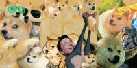 دوج کوین، پدر خانواده دوج چه چیزی برای گفتن دارد؟