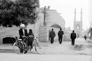 تمدن کاریز