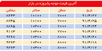 یک پای سود در مرغداری