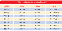 یک پای سود در مرغداری
